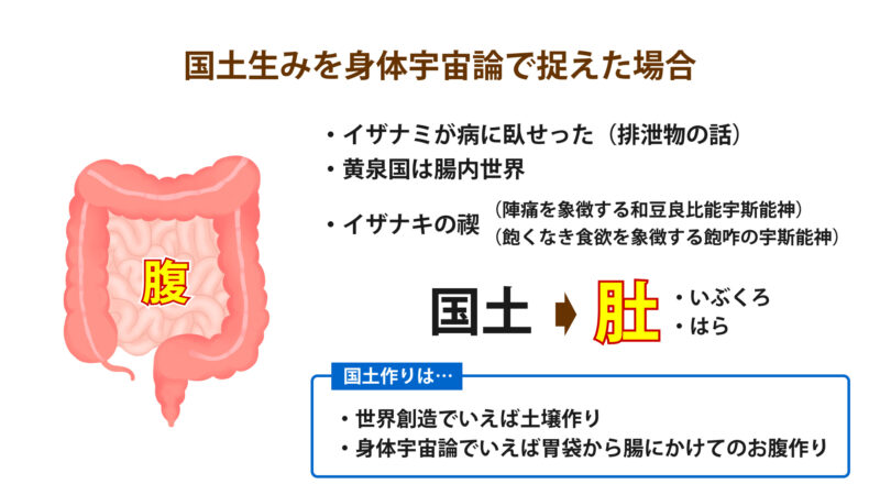 宇宙卵の細胞分裂⑤