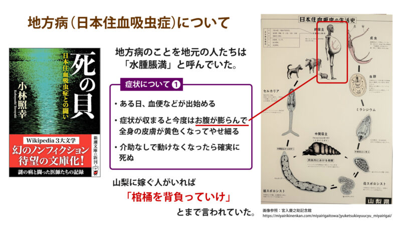 日本住血吸虫症について①