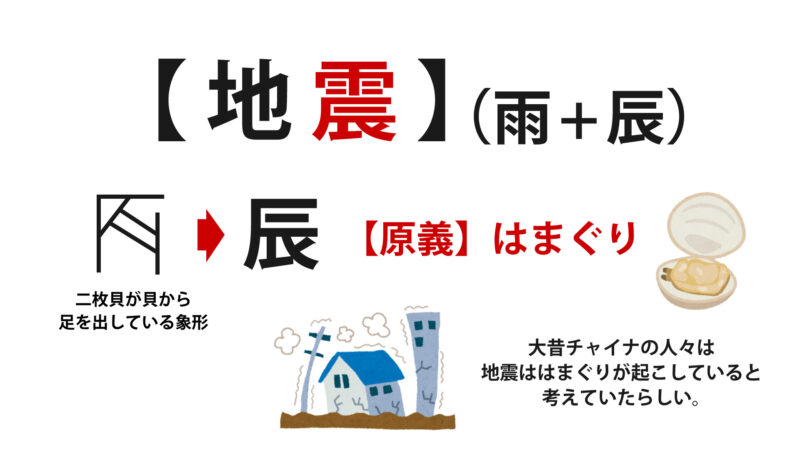 日本住血吸虫症について⑨