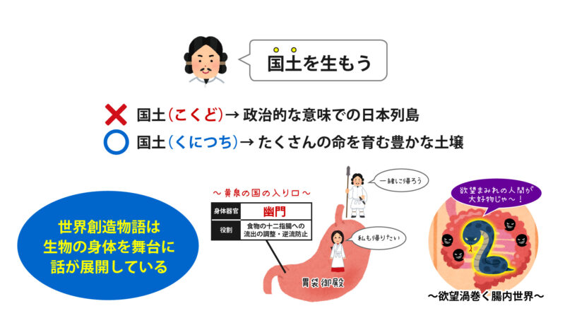 宇宙卵の細胞分裂③