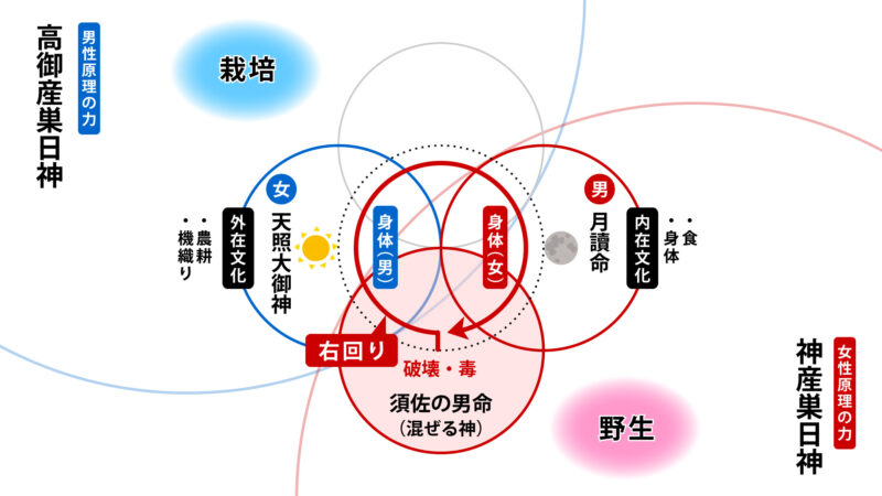 天岩屋戸シーンにおける神々の構造図③