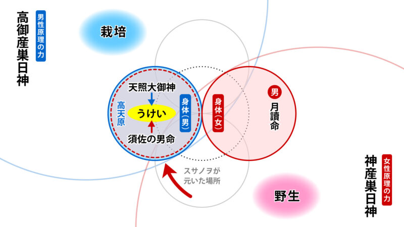 天岩屋戸シーンにおける神々の構造図③-2