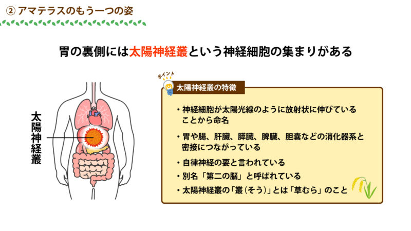 太陽神経叢について①