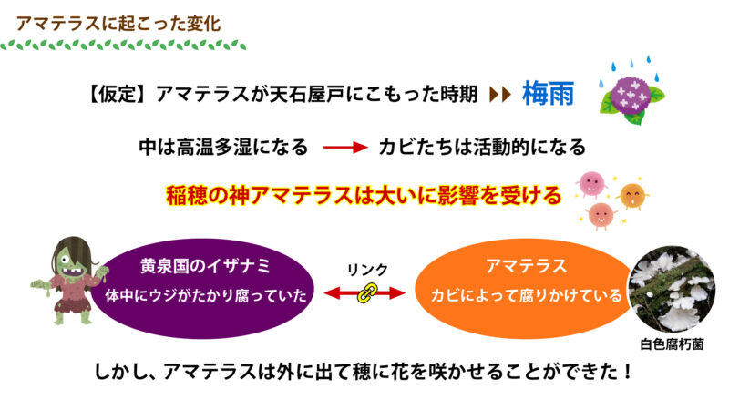 発酵文化③