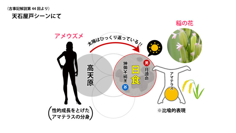 植物と人間の関係性について③