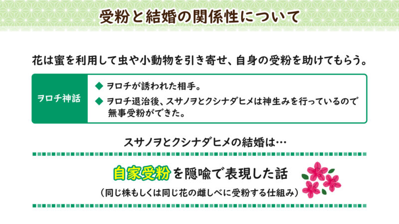 自家受粉について