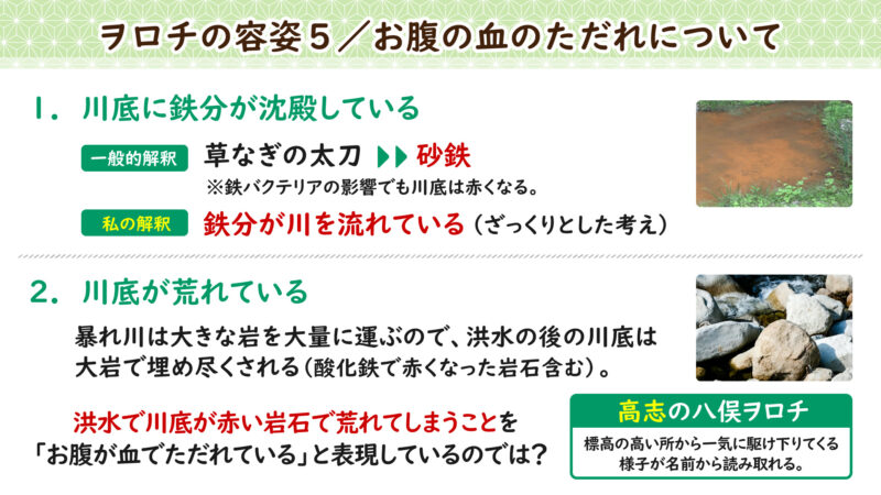 ヲロチの容姿5/お腹の血のただれについて②