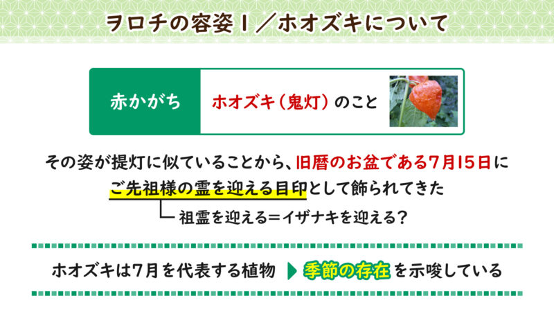 ホオズキについて