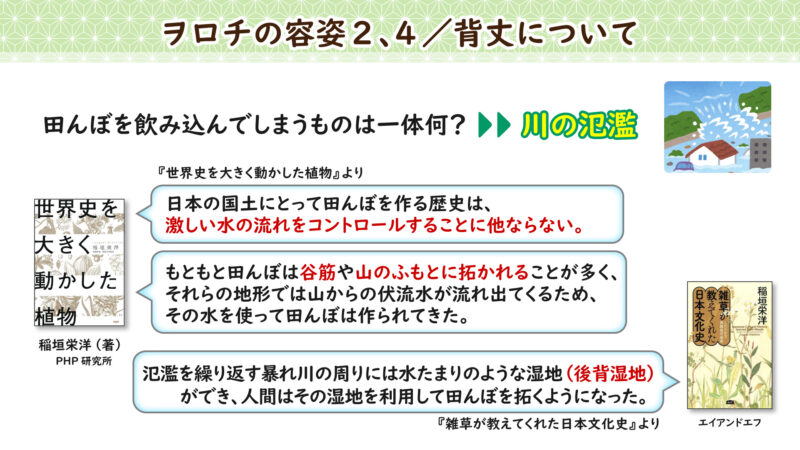 ヲロチの容姿2、4/背丈について②