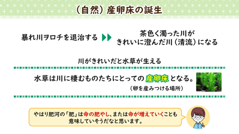 産卵床の誕生について