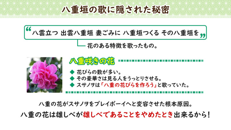 八重の花について①