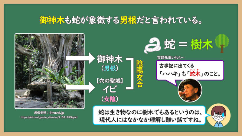 蛇は樹木でもある