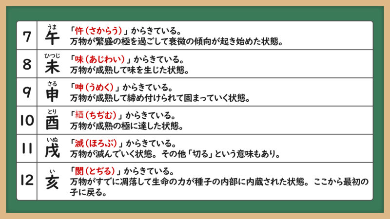十二支と植物の成長②