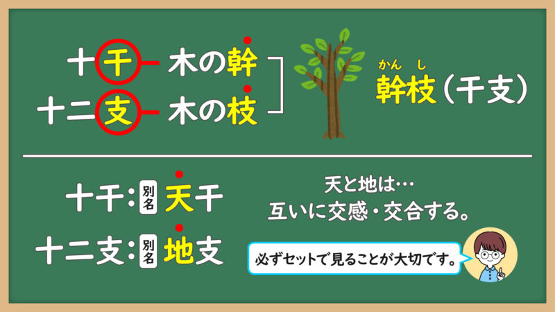 幹枝(干支)