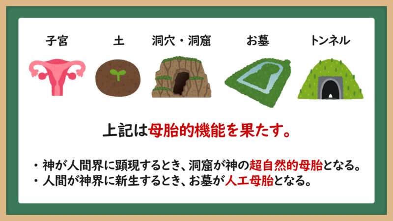 母胎的機能を果たすもの一覧